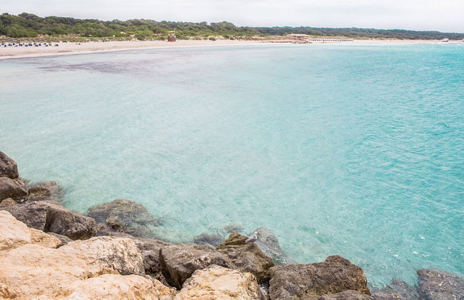 Can Xesquet Pleta Morell - Foto 21