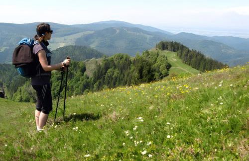 Haus Margot Armbruster - Photo 12