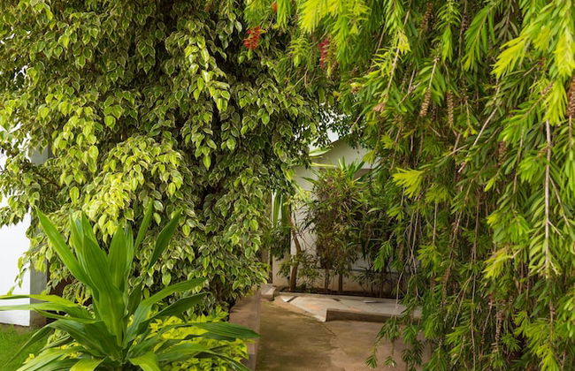 Spendwise Lodge and Apartments - Foto 63