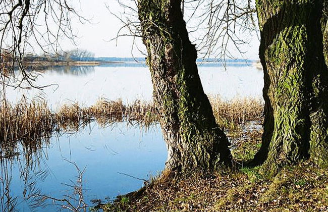 Ferienwohnung, Beetzseeheide - Foto 16