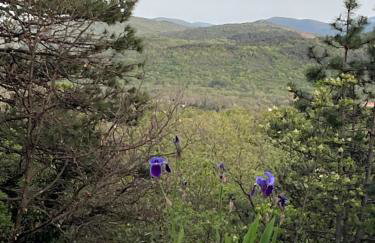 Apartment Tanja - Foto 43