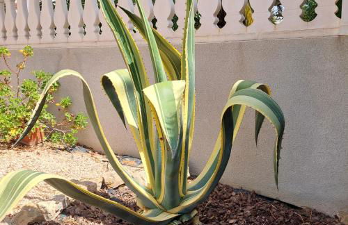 Villa totalmente independiente con piscina comunitaria - Foto 17