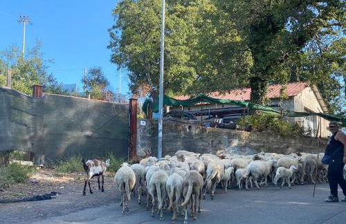 Sea View 2 Bedroom Vacation Apartment - Foto 41