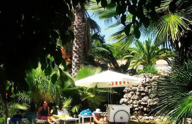 All'ombra del palmeto - Foto 34