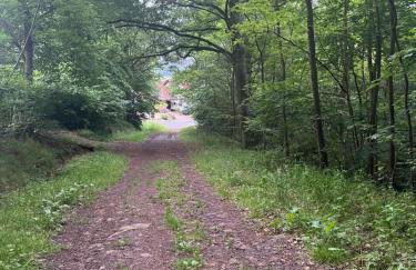 Ferienwohnung Rhöner Luft - Foto 30