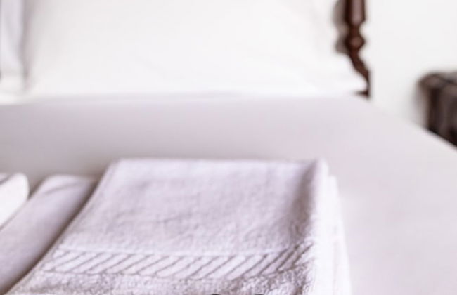 Moinho Pedra Pomes in Santa Cruz da Graciosa - Foto 15