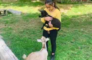 Airstream at a Petting Zoo w/ Hot Tub - Foto 49