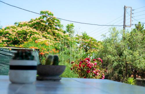 Paradise residency - Foto 37