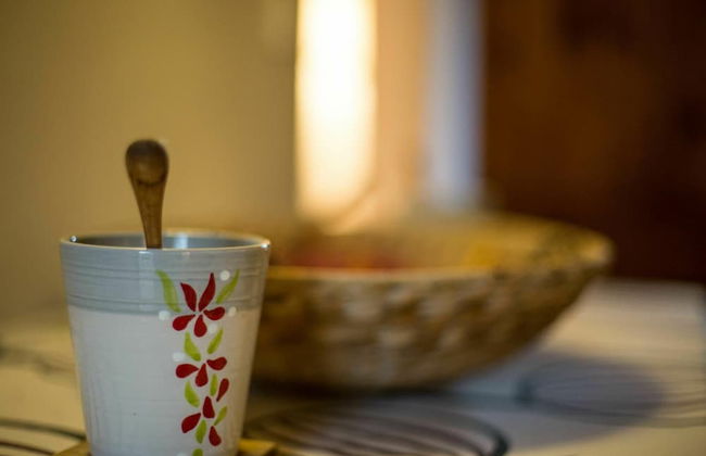 Villa Oleandri - Villa Oleandri - Photo 17