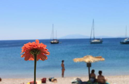 Elena Studios - Photo 30