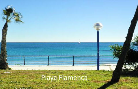 Apartment with large roof solarium - Foto 19