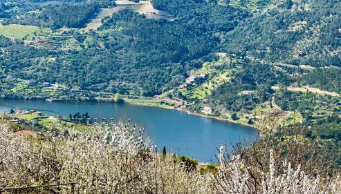 Quinta de CasalMato - Foto 3