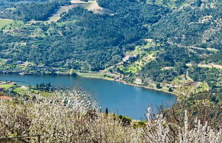 Quinta de CasalMato - Foto 3