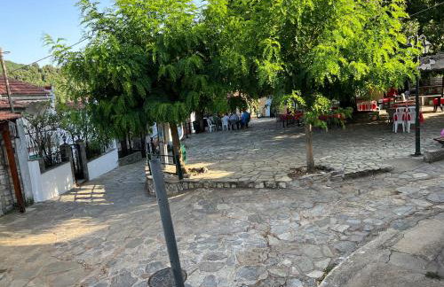 Traditional village house - Foto 22