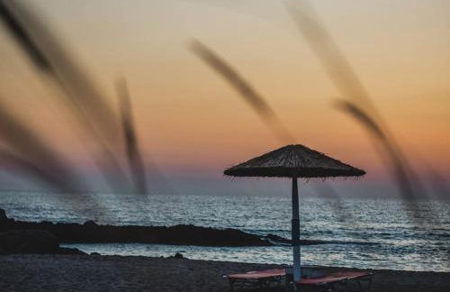 Cornelia Hippie Magic Bus - Foto 57