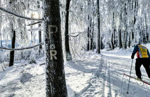 Gemütliches Blockhaus am Wald mit großem Garten - Foto 17