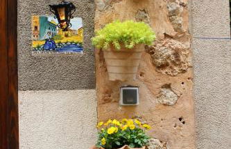 Rectoria 6 - Foto 37