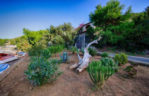 Apartments Leo Katić - Foto 5