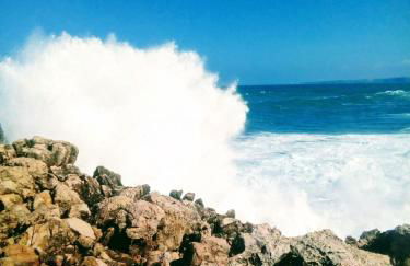 Ocean & Nature Flat - Aljezur - Algarve West Coast - 1,6km Praia Monte Clérigo - Foto 30