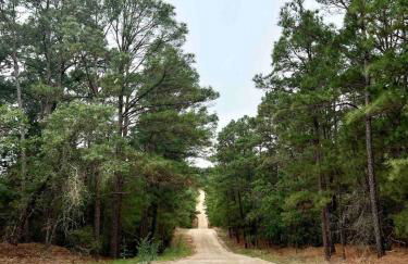 Swim Spa Billiards in Pineforest Spacious Home - Foto 32