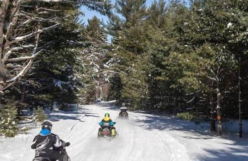 Paddler's Paradise Cabin with Direct Trail Access! - Foto 30