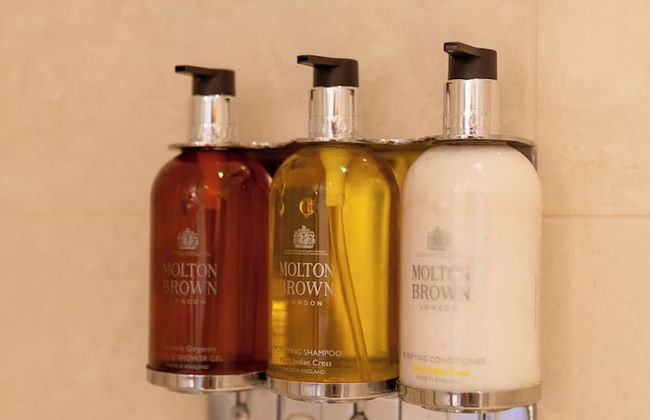 Montreux Lake View Apartments and Spa - Foto 41