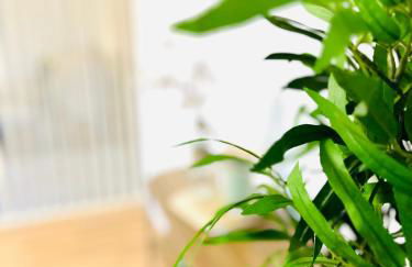 MOLA Apartments-Ruhrnahes Apartment mit Balkon & Parkplatz im Herzen von Schwerte-4P - Foto 5