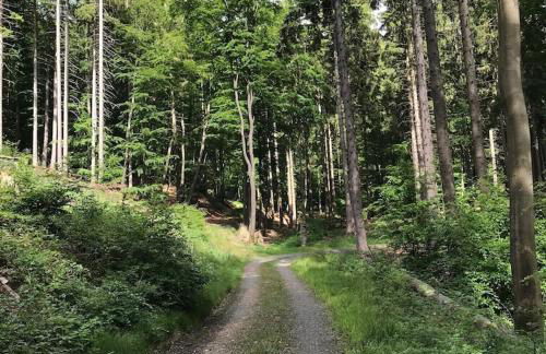 Ferienhaus mit Sauna, Wintergarten und Terrasse im schönen Hochtaunus - Foto 76