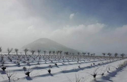 Bellísima cueva acogedora "Casa Olivia" - Foto 44