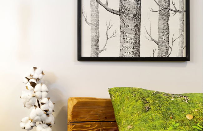 Green Deer Premium - Foto 49