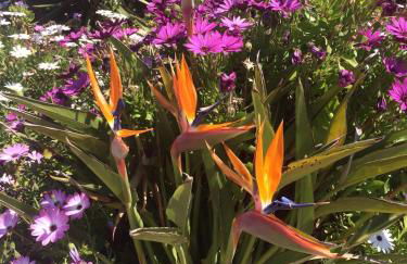 Villa Sueno - Photo 30