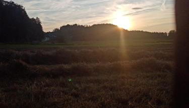 Ferienhaus zum Moosbauer - Foto 3