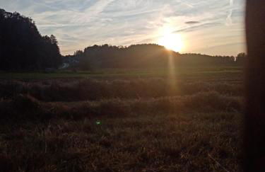 Ferienhaus zum Moosbauer - Foto 3