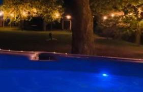 Whiskers and Woods Shepherd Hut - Foto 25