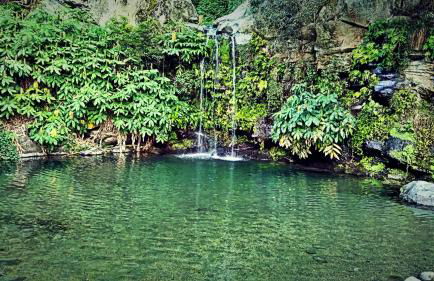 Casa da Corisca - Photo 27