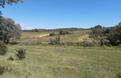 Appartement dans les vignes varoises - Foto 15