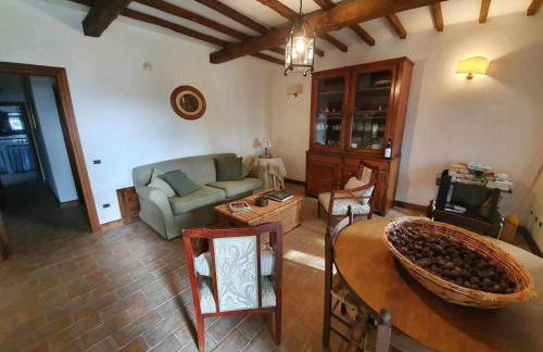 Casale dei Puppi, una bellissima casa rustica - Foto 38