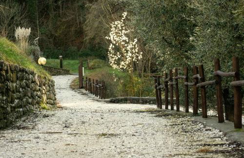 MULINO VECCHIO - Foto 28