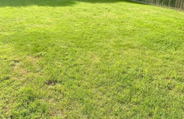 Romantic log-burner Cornish Cottage private garden dogs welcome - Photo 25