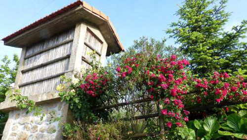 Casa da Eira Velha - Foto 5, Garden