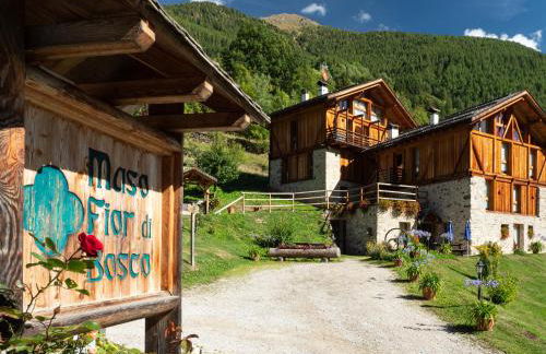 Maso Fior di Bosco - Val di Rabbi - Esercizio Rurale - Foto 96