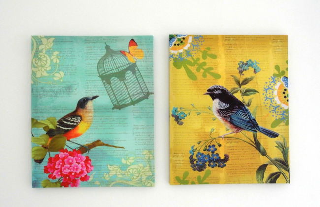 Aiguaneu Es Moll - Foto 28