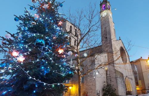 17th Century town house in Forcalquier centre - Foto 40