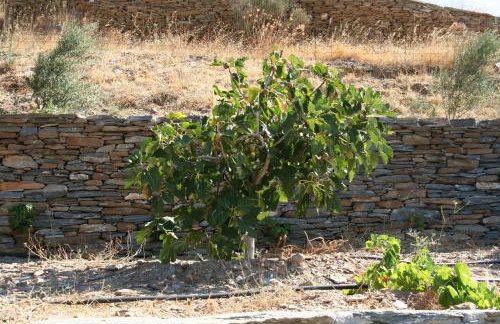 Villa Gabriela - Foto 51