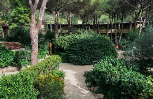 Abbaechelu - Foto 31