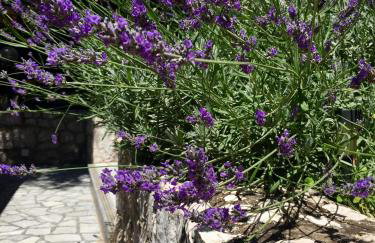 Apartments Ante - Foto 47