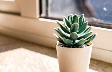 Spacious 4Bed Parking & Wi-Fi - Contractor Stays - Foto 18