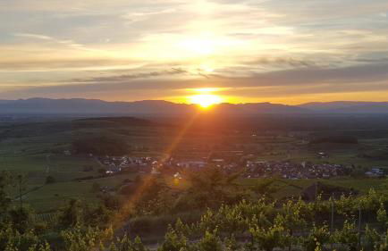Gästehaus Casa Luna - Paradiesische Ferienwohnungen am Kaiserstuhl! - Foto 37