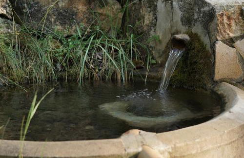 Cortijo San Roque Alojamientos Rurales - Foto 17