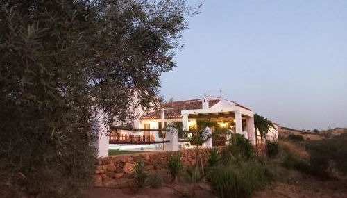 Cortijo Casablanca - Foto 2, Garden view